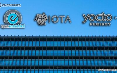 Excelente noticia le trae el desarrollador Bernardo Rodrigues a IOTA Tangle