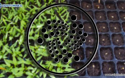 Semillero de IOTA reajustado se va a hacer esperar hasta el 10 de marzo